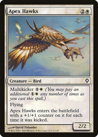 Apex Hawks image
