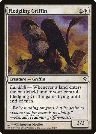 Fledgling Griffin image