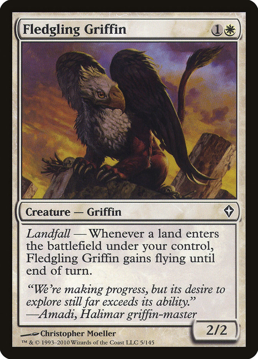 Fledgling Griffin Full hd image