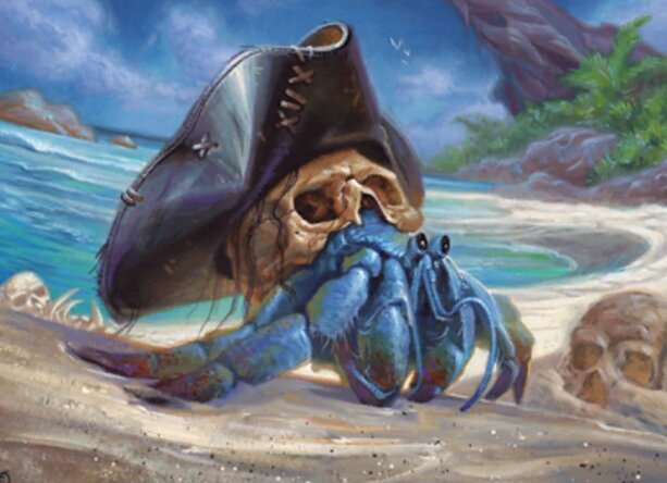 Shorecomber Crab Crop image Wallpaper