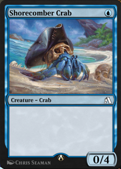 Shorecomber Crab image