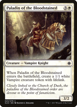 Paladin of the Bloodstained image