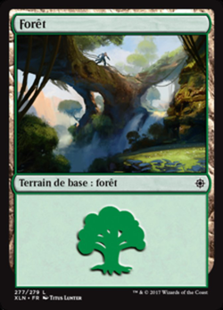 Forêt