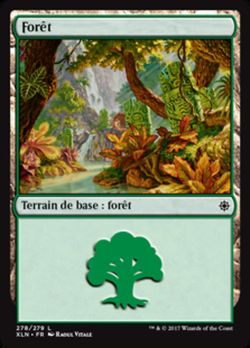 Forêt