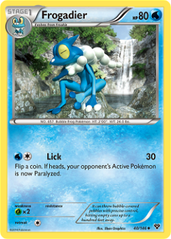 Frogadier XY 40 image