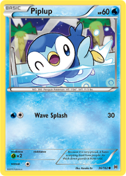 Piplup BKT 36