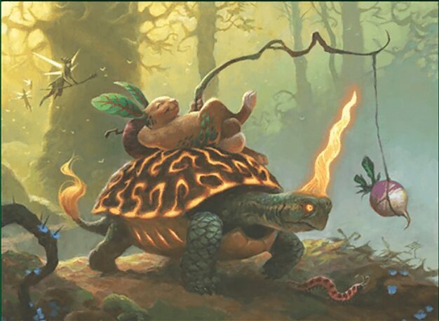 Steady Tortoise // Harried Dash Crop image Wallpaper