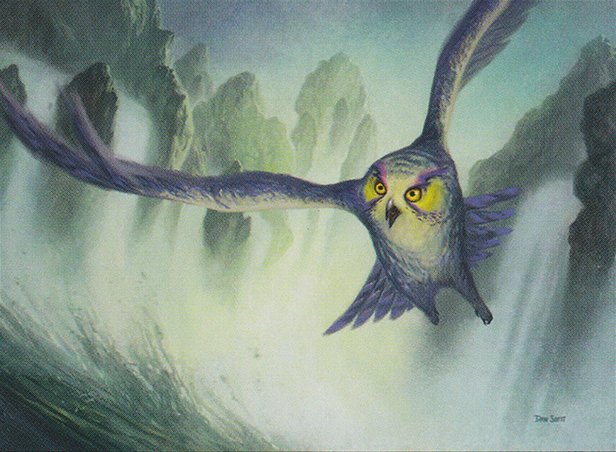 Tempest Owl Crop image Wallpaper
