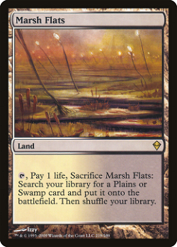 Marsh Flats image