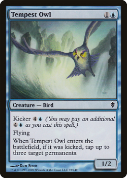 Tempest Owl - 폭풍 부엉이