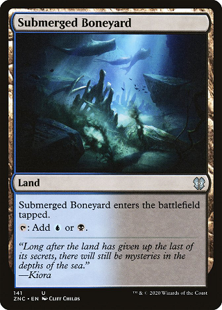Submerged Boneyard image