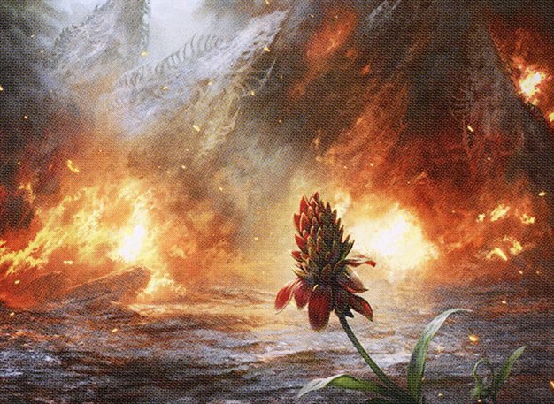 Cleansing Wildfire Crop image Wallpaper