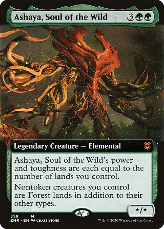 Ashaya, Soul of the Wild image