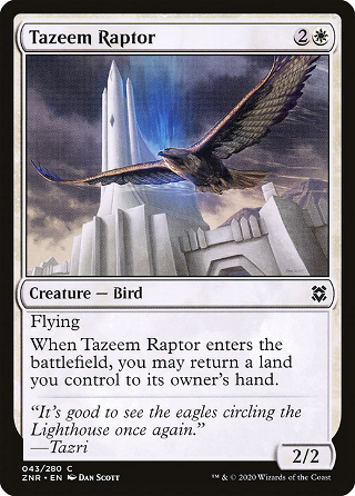 Tazeem Raptor image
