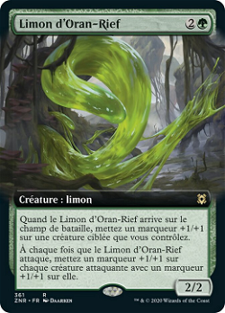 Limon d'Oran-Rief