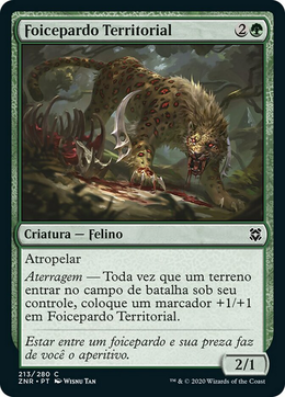 Card image in hand