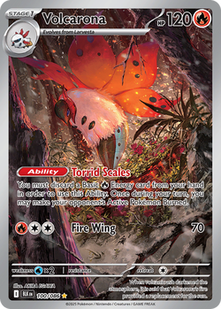 Volcarona BLK 100 image