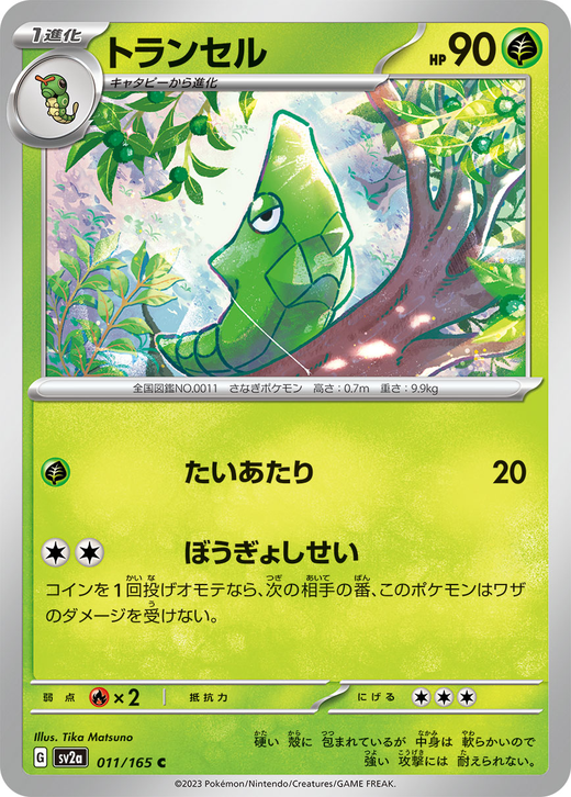 Metapod sv2a 11 Full hd image