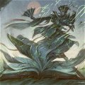 MTG Player Survey available
