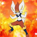 Nova caixa Academia de Batalha de Pokémon TCG