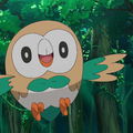 Pacote de Colecionador 2022 do Pokémon TCG