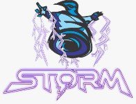 Storm Team