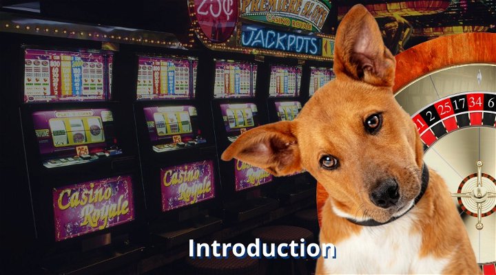 Are Dogs Allowed In Casinos?