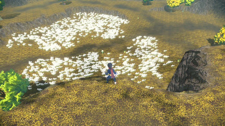 Cottonsedge Prairie em Crimson Mirelands