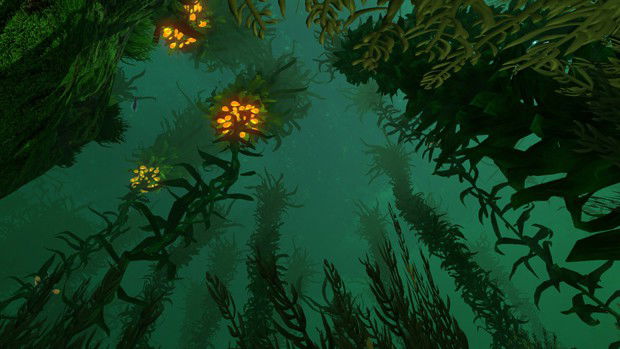 The Kelp Forest, Subnautica