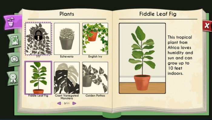 Image content of the Website