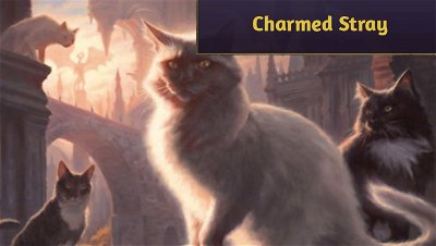 A história por trás de Charmed Stray