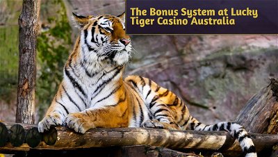 How Does the Bonus System Work at Lucky Tiger Casino Australia?