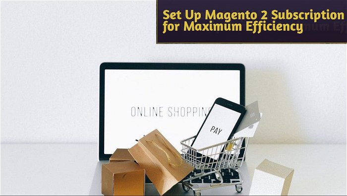 How to Set Up Magento 2 Subscription for Maximum Efficiency