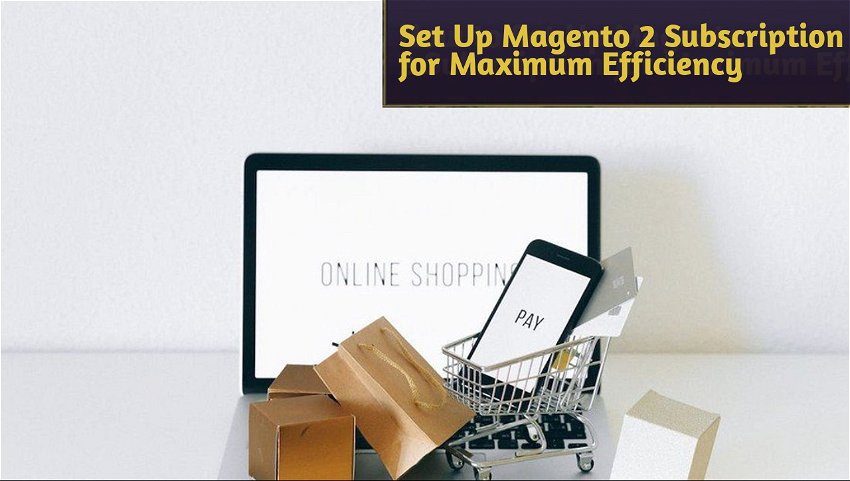 Set Up Magento 2 Subscription for Maximum Efficiency