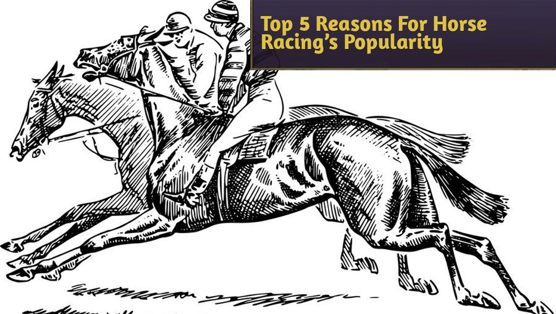 Top 5 Reasons For Horse Racing’s Popularity