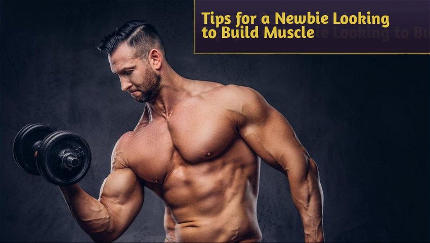 Tips for a Newbie Looking to Build Muscle