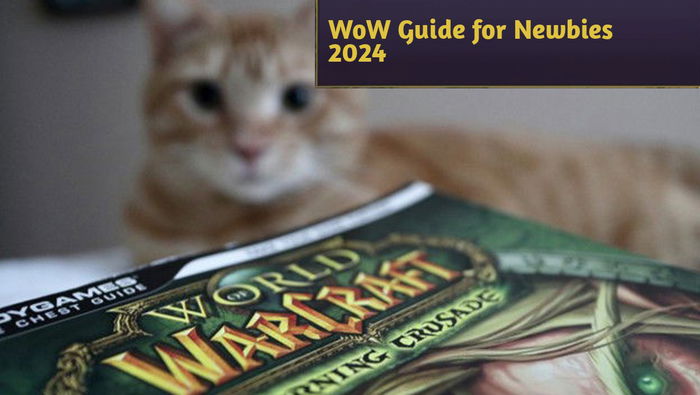 WoW Guide for Newbies 2024