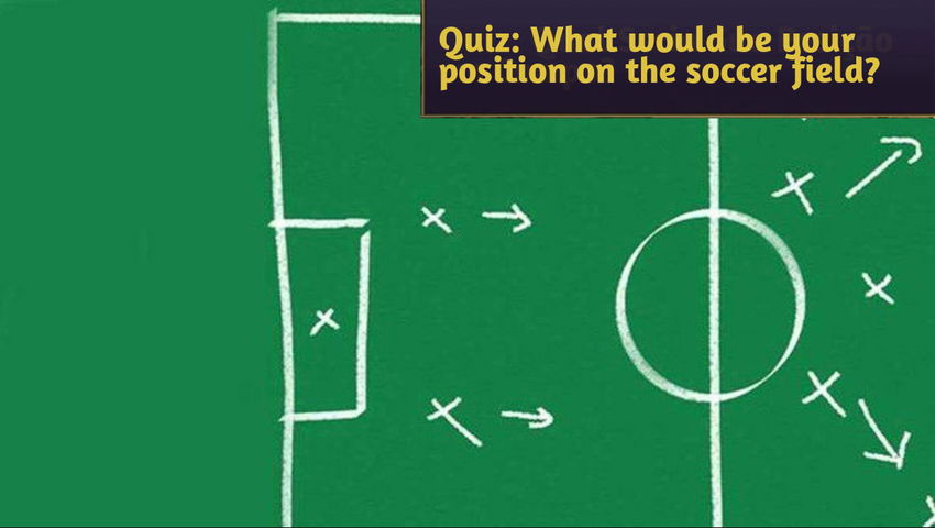 Quiz: What would be your position on the soccer field?