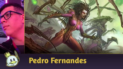 Guia Deck Padrão: Zerg Death Knight - A versão mais eficiente da facção!