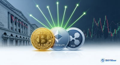 Cloud Mining Explained: Turn Bitcoin, Ethereum, and Ripple Holdings into $9,888 Monthly Returns with BAY Miner
