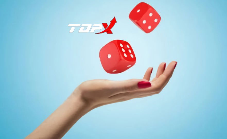 Unlocking revenue potential: analyzing the referral program and partner support at TopX Casino