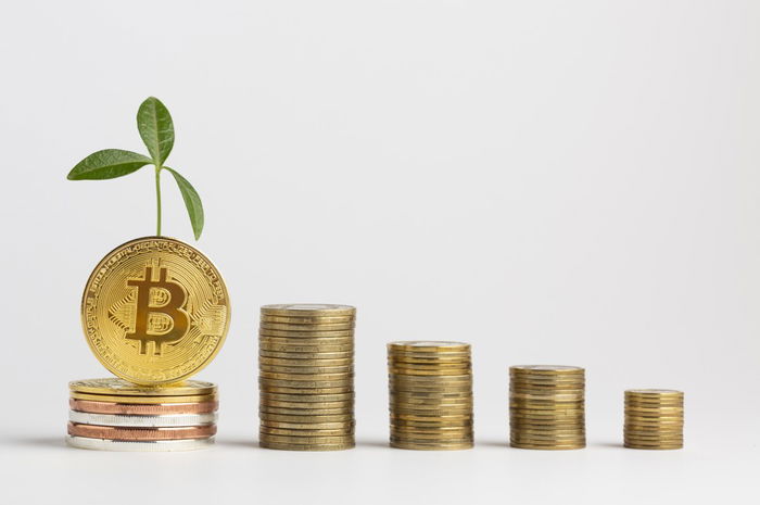 Should Cryptocurrencies Have A Place In 401 (k) Portfolios?