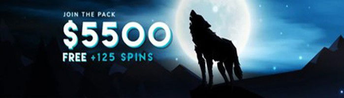 Full review of the game “Lucky Win Spins” at Wolf Winner Casino