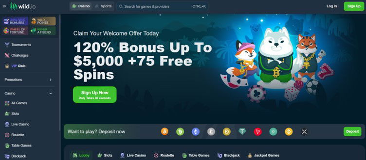 Wild.io is a provably fair online crypto casino