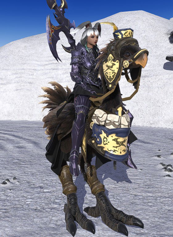 Black Chocobo - Divine Intervention - MSQ LV 50