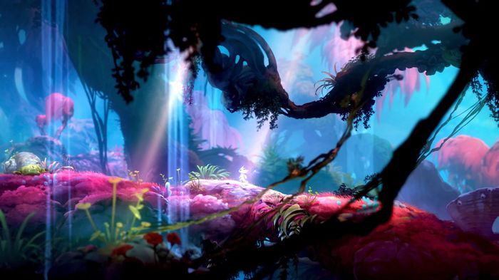 Image content of the Website