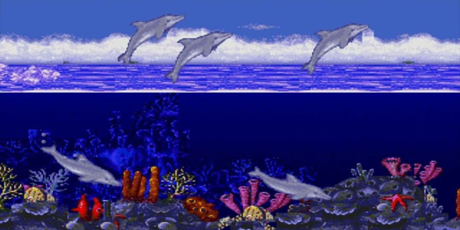 Image content of the Website