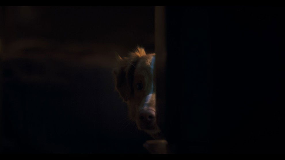 Image content of the Website