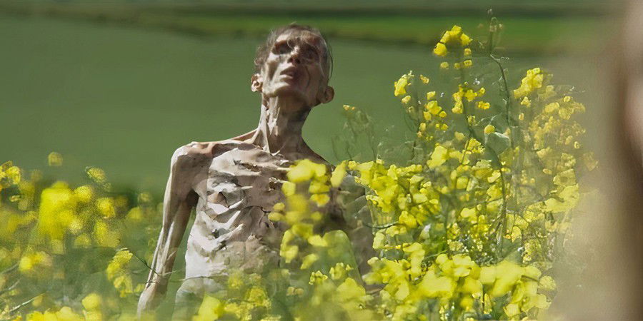 An Infected
