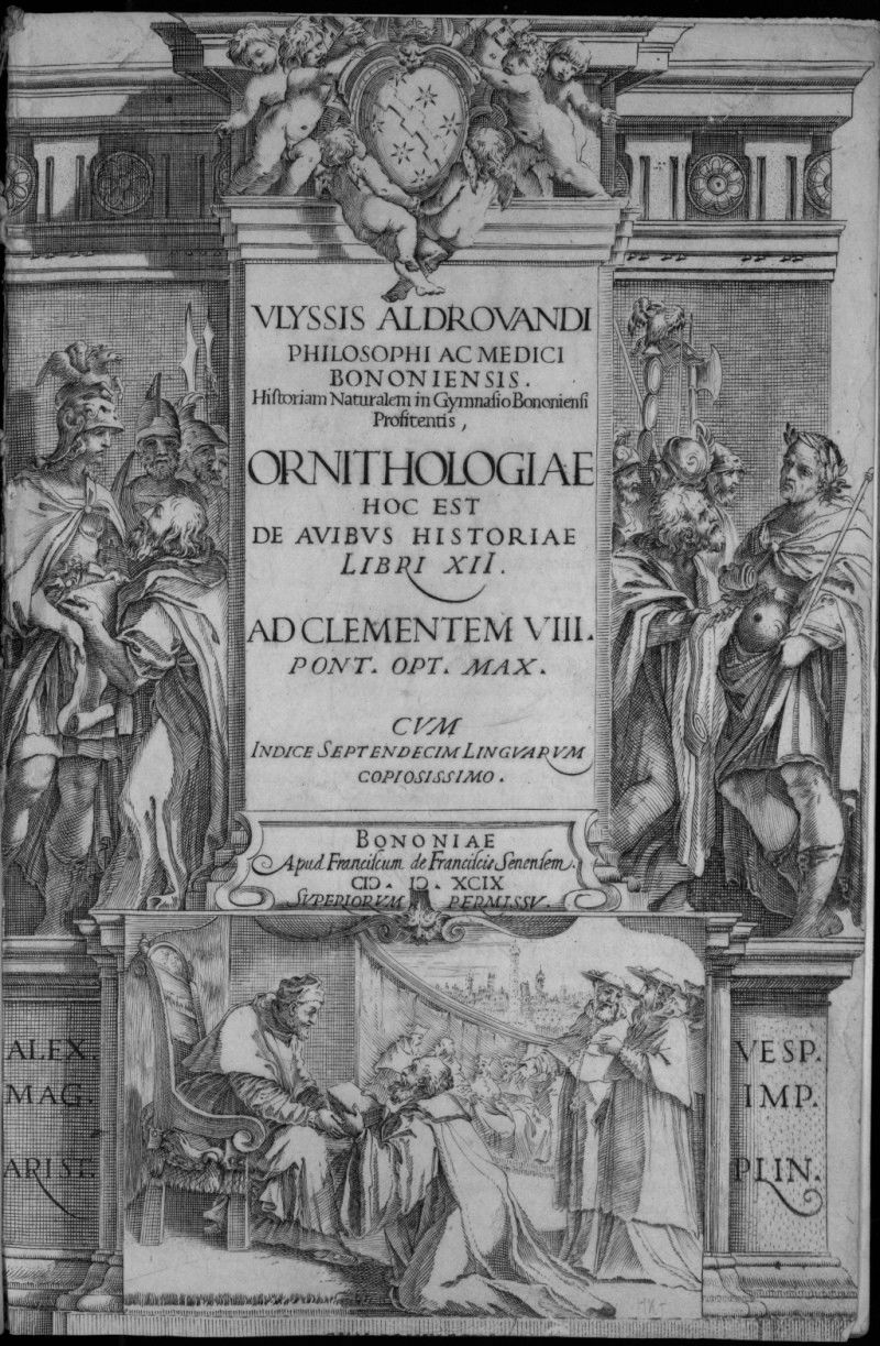 Cover of Ornithologiae, by Ulisse Aldrovandi, published in 1599